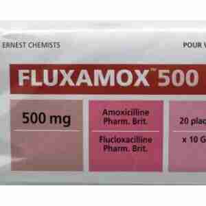 Fluxamox Capsule 500mg